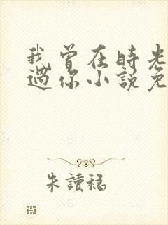 我曾在时光里听过你小说免费阅读