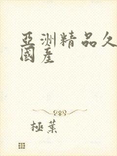 亚洲精品久久久国产