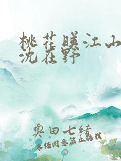 桃花映江山原著沈在野
