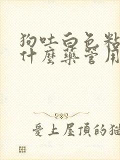 狗吐白色粘液吃什么药管用