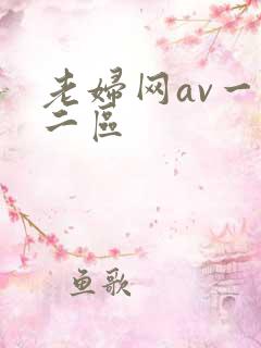 老妇网av一区二区