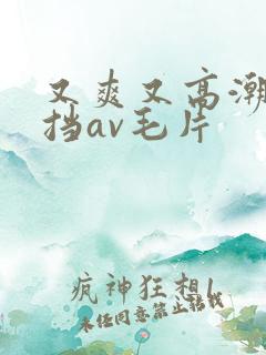 又爽又高潮无遮挡av毛片