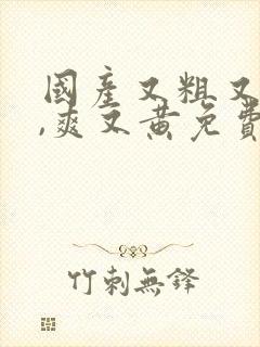 国产又粗又猛又,爽又黄免费观看