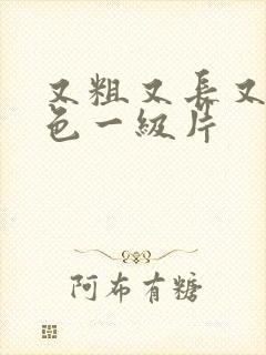 又粗又长又大黄色一级片