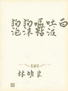 狗狗呕吐白色的泡沫粘液