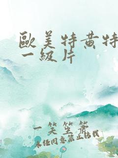 欧美特黄特黄的一级片