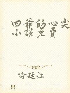 四爷的心尖宠妃小说免费