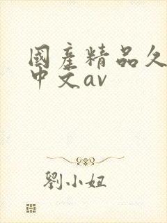 国产精品久久久中文av