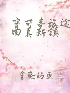 宝可梦旅途小智回真新镇