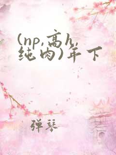 (np,高h,纯肉)年下