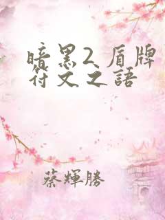 暗黑2 盾牌 符文之语