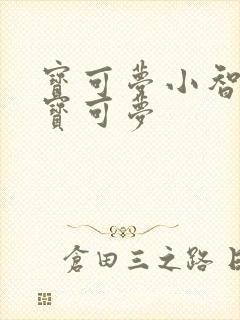 宝可梦小智所有宝可梦