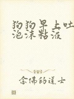 狗狗早上吐白色泡沫粘液