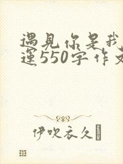 遇见你是我的幸运550字作文