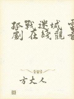 孤战迷城 电视剧 在线观看