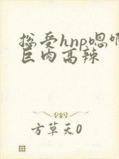 总受hnp嗯啊巨肉高辣