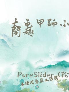 大龟甲师小说笔阁趣