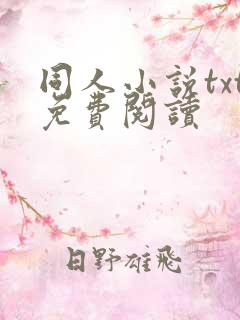 同人小说txt免费阅读