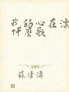 我的心在漂泊是什么歌