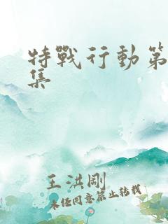 特战行动第10集