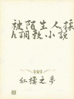 被陌生人揉花蒂h调教小说