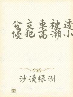 公交车被透明人侵犯高潮小说