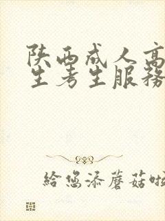 陕西成人高考招生考生服务平台