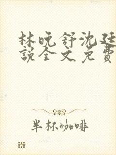 林晚舒沈廷州小说全文免费阅读全文