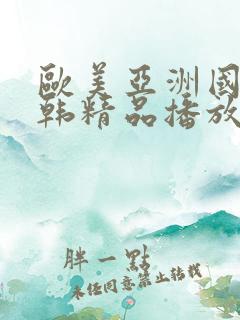 欧美亚洲国产日韩精品播放