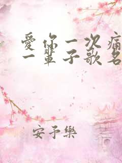 爱你一次痛了我一辈子歌名叫什么