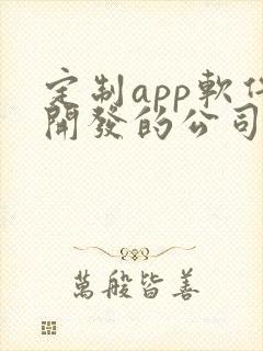 定制app软件开发的公司