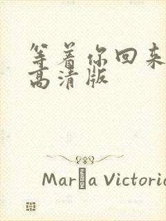 等着你回来粤语高清版