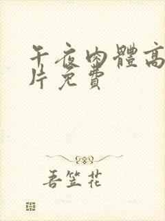 午夜肉体高潮毛片免费