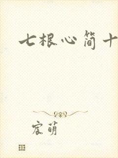 七根心简十三集