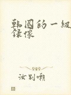 韩国的一级黄色录像