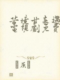 苦境甘来遇见你电视剧免费观看高清