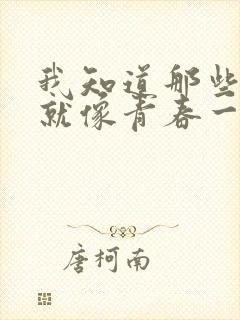 我知道那些夏天就像青春一样回不来歌词