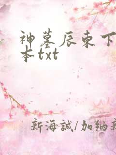 神墓辰东下载全本txt