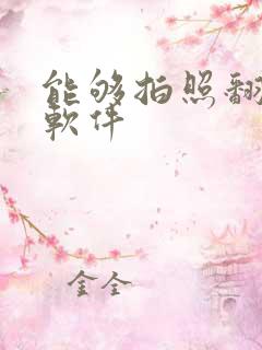 能够拍照翻译的软件