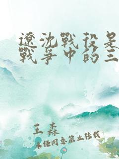 辽沈战役是解放战争中的三大战役之一