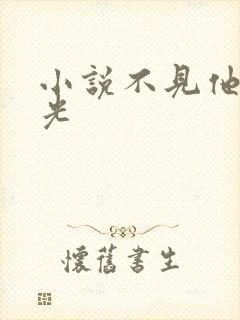 小说不见他的月光