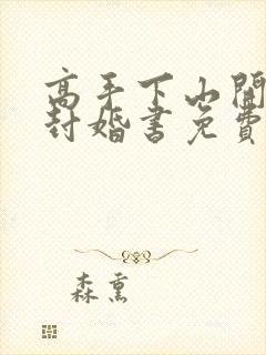 高手下山开局九封婚书免费下载txt