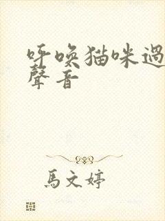 呼唤猫咪过来的声音