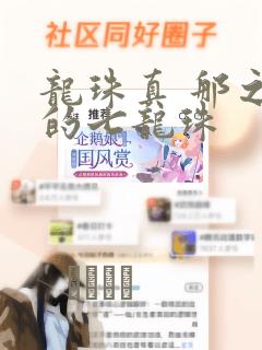 龙珠真 那之后的七龙珠