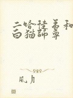 二哈徒弟和他的白猫师尊