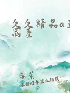 久久精品a亚洲国产