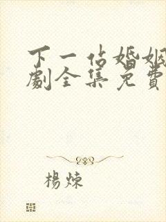 下一站婚姻连续剧全集免费观看