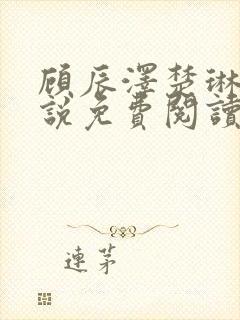 顾辰泽楚琳薇小说免费阅读最新章节