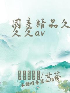 国产精品久久久久久av