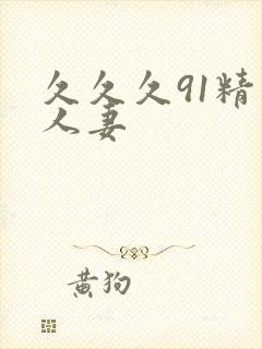 久久久91精品人妻